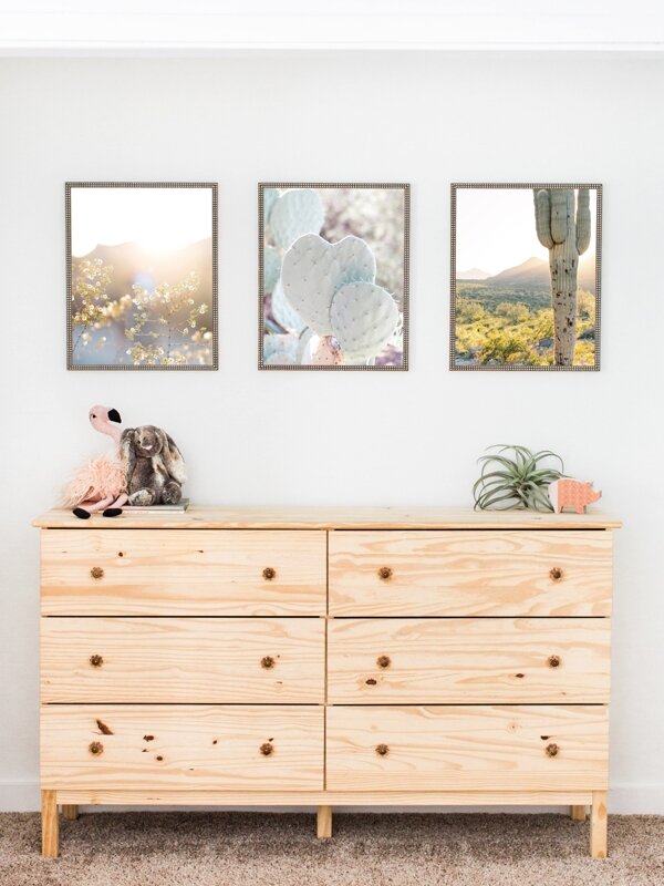 desert gallery wall decor with heart cacti